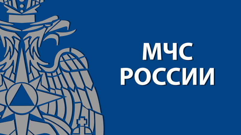 Открытые международные соревнования среди звеньев газодымозащитной службы посвященные памяти Дмитрия Тихомирова