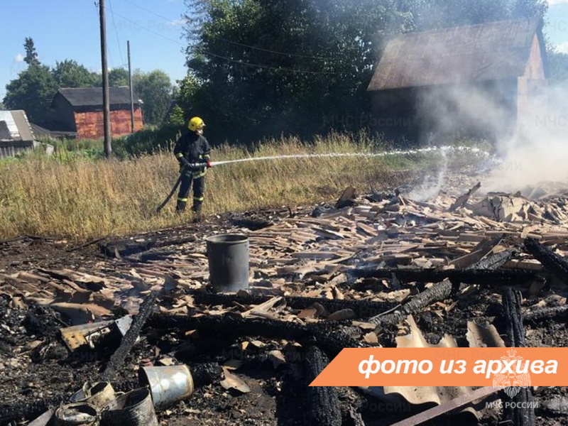 Пожарно-спасательные подразделения Ленинградской области ликвидировали пожар в Кингисеппском районе