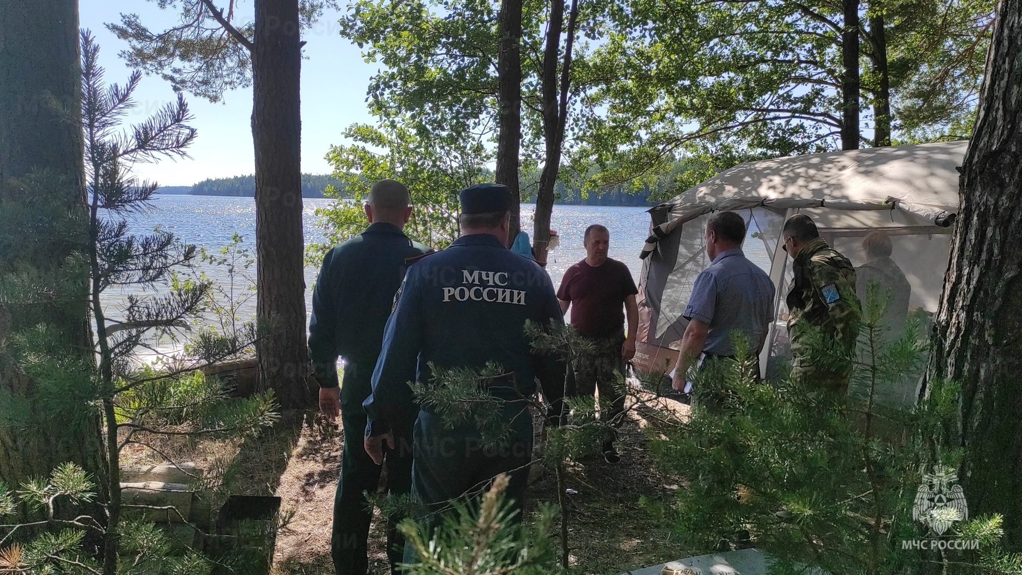 Совместное патрулирование лесов под Кингисеппом - Новости - Главное  управление МЧС России по Ленинградской области