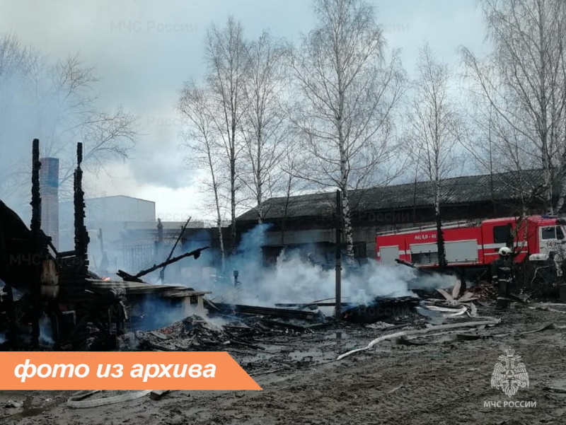 Пожарно-спасательное подразделение Ленинградской области ликвидировало пожар в Лужском районе