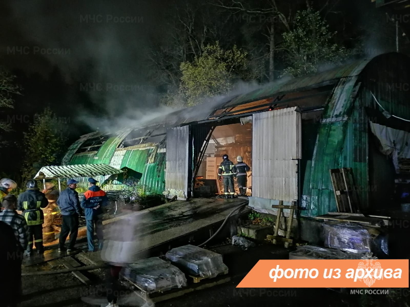 Пожарно-спасательные подразделения Ленинградской области ликвидировали пожар во Всеволожском районе