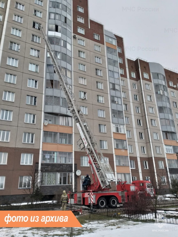 Пожарно-спасательные подразделения Ленинградской области ликвидировали пожар в Бокситогорском районе