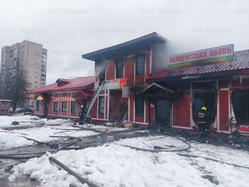 Пожарно-спасательные подразделения Ленинградской области ликвидировали пожар в г. Кингисепп