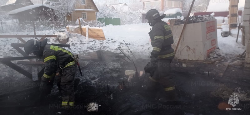 Пожарно-спасательные подразделения Ленинградской области ликвидировали пожар в Ломоносовском районе