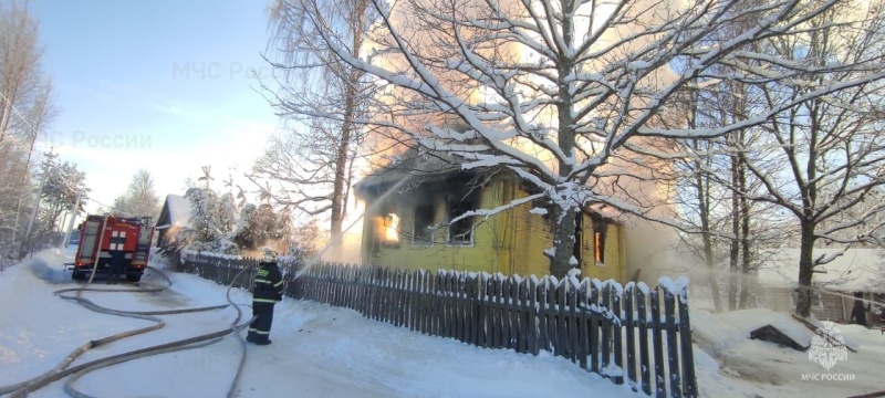 Пожарно-спасательное подразделение Ленинградской области ликвидировало пожар в Волховском районе