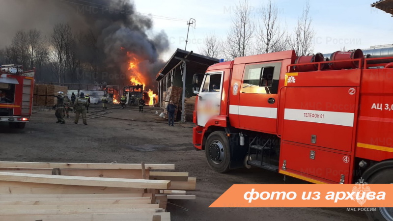 Пожарно-спасательные подразделения Ленинградской области ликвидировали пожар в Лужском районе