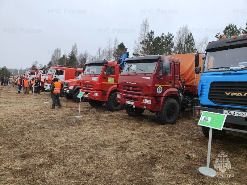 В Кингисеппском районе прошли учения по тушению крупных лесных пожаров