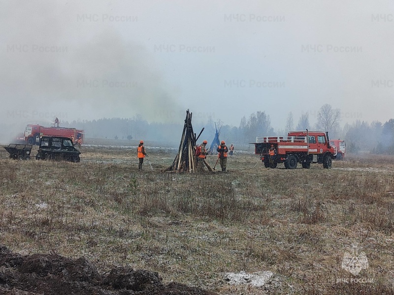 В Кингисеппском районе прошли учения по тушению крупных лесных пожаров