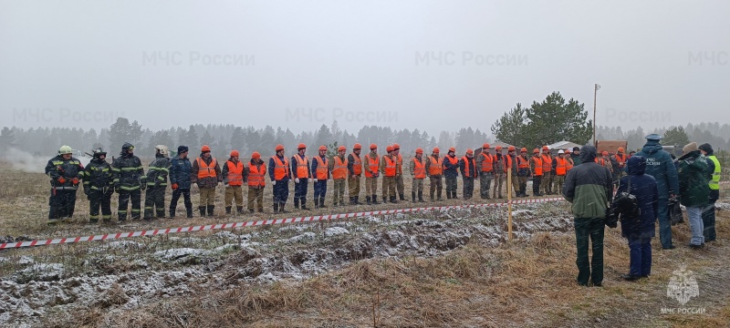 В Кингисеппском районе прошли учения по тушению крупных лесных пожаров