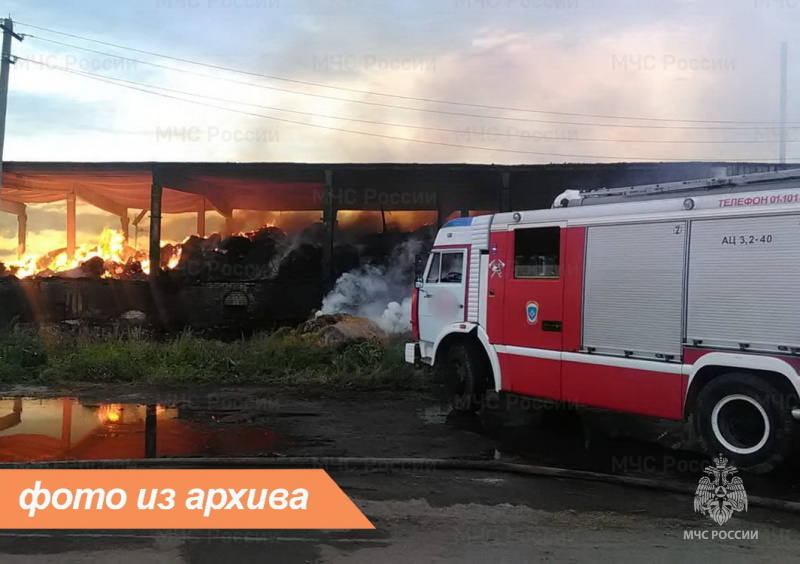 Пожарно-спасательное подразделение Ленинградской области ликвидировало пожар в Тосненском районе