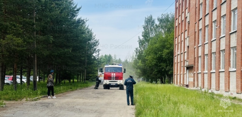 Пожарно-тактические учения в Тосненском техникуме!