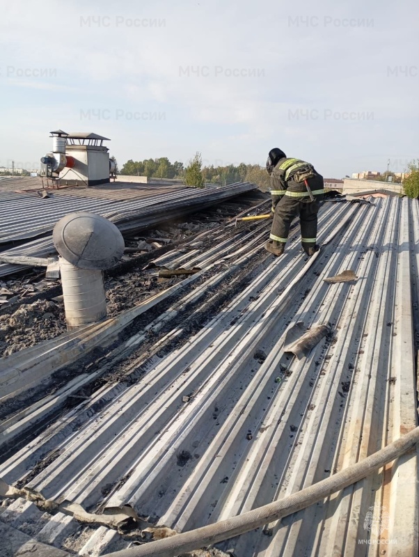 Пожарно-спасательные подразделения Ленинградской области ликвидировали пожар в Тосненском районе