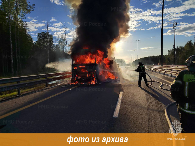 Пожарно-спасательные подразделения Ленинградской области ликвидировали пожар в Кировском районе