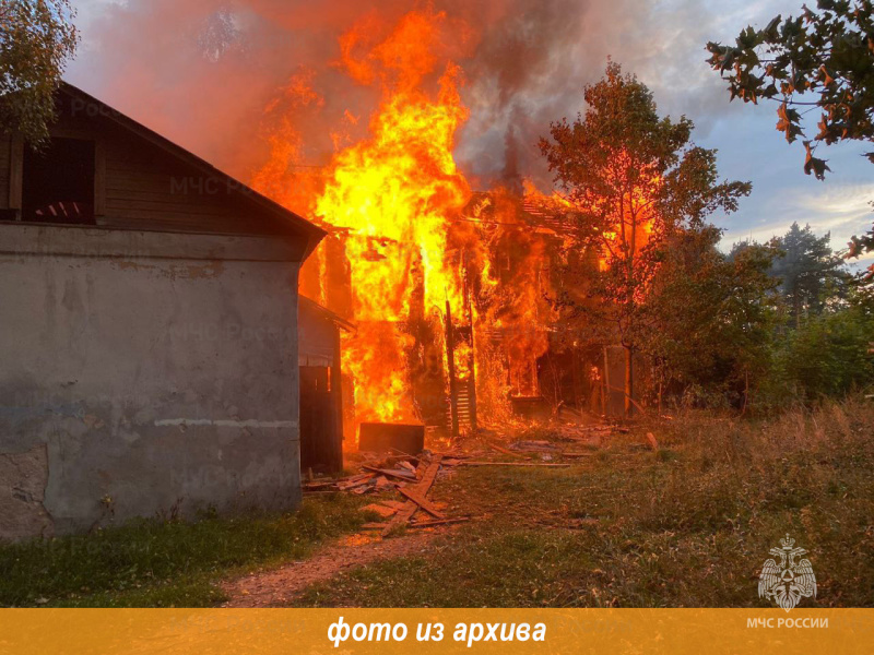 Пожарно-спасательные подразделения Ленинградской области ликвидировали пожар в Приозерском районе