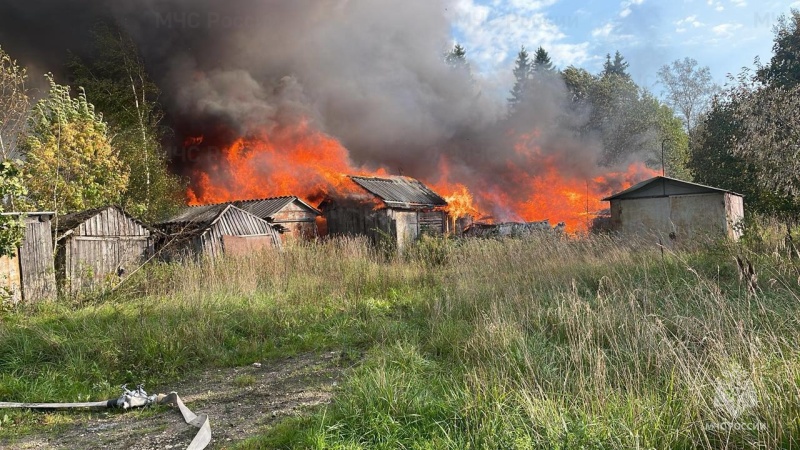 Пожарно-спасательные подразделения Ленинградской области ликвидировали пожар в Гатчинском районе