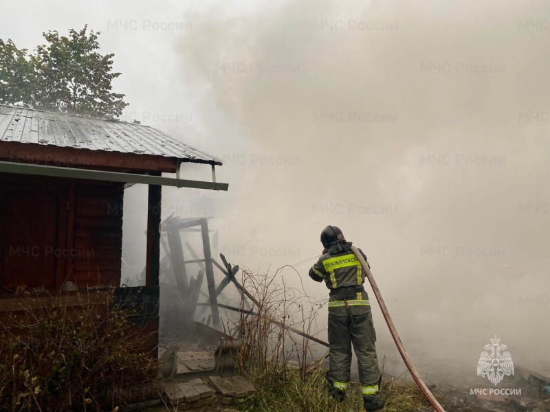 Пожарно-спасательные подразделения Ленинградской области ликвидировали пожар в Лужском районе